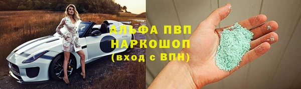 молекула духа Арсеньев