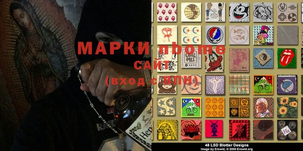 молекула духа Арсеньев