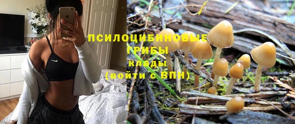 молекула духа Арсеньев