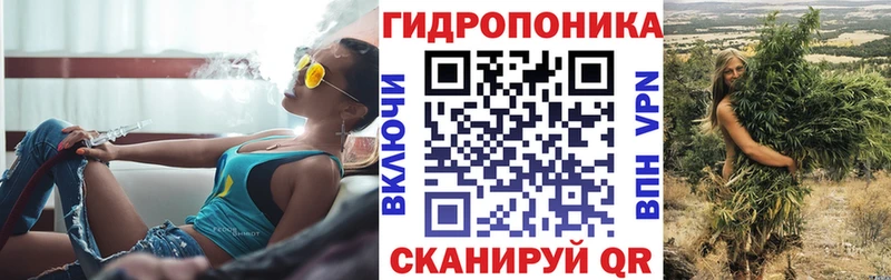 дарк нет телеграм  Мензелинск  МАРИХУАНА сатива 